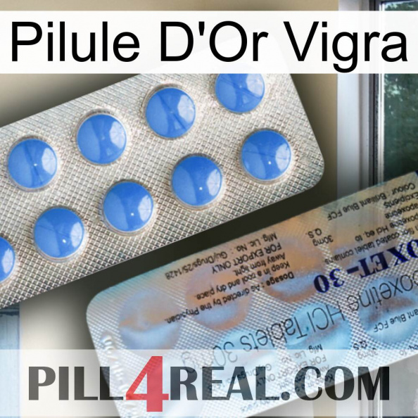 Vigra Gold Pill 39.jpg